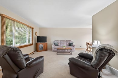 Large sunny living room