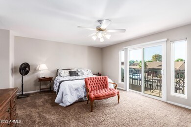 20 - Hackamore