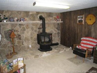 805 Pine Canyon Rd, Midway, UT 84049 - photo 6