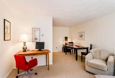 25 Linden Ave unit 26, Somerville, MA 02143 - photo 5