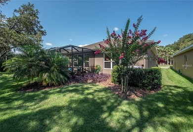 16007 Courtside View Dr, Lithia, FL 33547 - photo 6