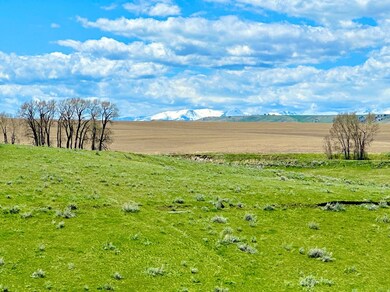 8560 Camp Creek Rd, Manhattan, MT 59741 - photo 6