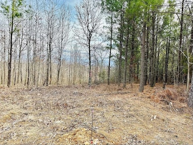 48 Ranches at Hickory Ridge, Dover, TN 37058 - photo 5