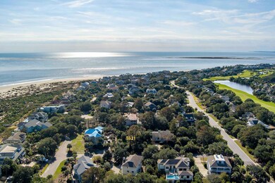 3621 Loggerhead
