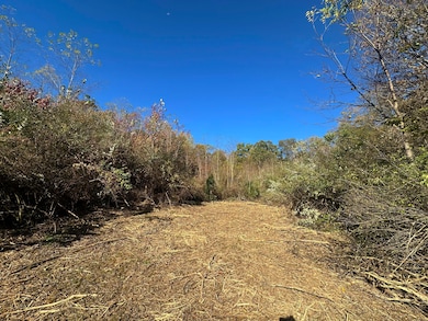 0 Anjean Rd unit 25-1224, Rupert, WV 25984 - photo 7