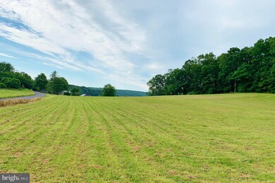 0 Dellinger Gap Rd unit VASH119516, Edinburg, VA 22824 - photo 6