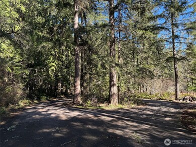 17820 Pondside Ct SE, Yelm, WA 98597 - photo 6