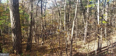 0 Williams Ln unit 55 & 56 VASH2001422, Basye, VA 22810 - photo 2