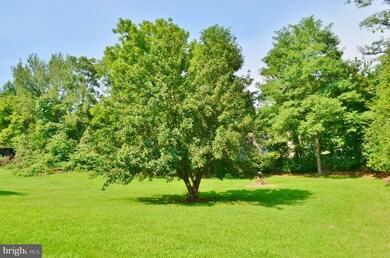 15691 Senedo Rd, Edinburg, VA 22824 - photo 5