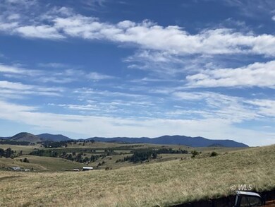 0 000 unit 2517439, Westcliffe, CO 81252 - photo 7