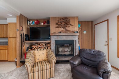 Living Room Fireplace