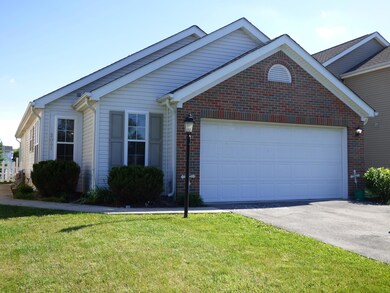 FRONT 1