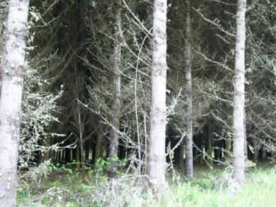 0 Savage Rd unit 13490957, Sheridan, OR 97378 - photo 3