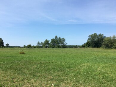 IMG_1193 (1)