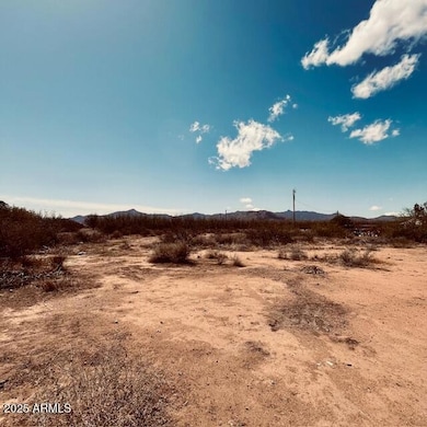 330 W 2nd St, Bowie, AZ 85605 - photo 5