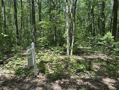 39 Irish Ln, Rutland, MA 01543 - photo 7