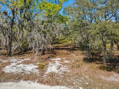 TBD Parente Place, Keaton Beach, FL 32348 - photo 4