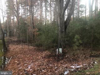 11317 Wollaston Cir, Issue, MD 20645 - photo 6