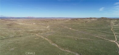 60559 W Avenue F-8, Fairmont, CA 93536 - photo 4