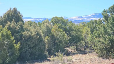 4402 Bear Creek Cir, South Fork, CO 81154 - photo 7