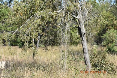 TBD E 1000 Rd, Gore, OK 74435 - photo 4