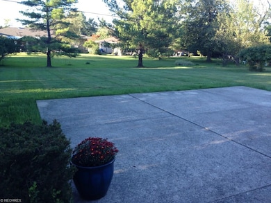 Rear Patio