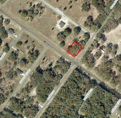 0 SE 113 St Rd unit MFROM705813, Ocklawaha, FL 32179 - photo 2