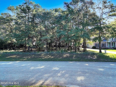 3349 Stone Crab SW, Supply, NC 28462 - photo 2