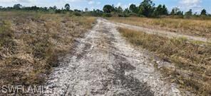 50412 Bermont Rd, Punta Gorda, FL 33982 - photo 4