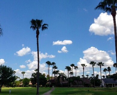 833 Nada Dr, Alamo, TX 78516 - photo 7