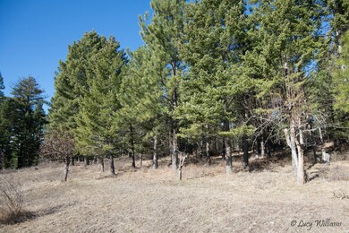 126 Pierce Ln, Big Fork, MT 59911 - photo 5