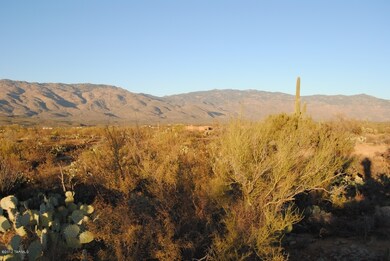 Rincon Mountain Vew