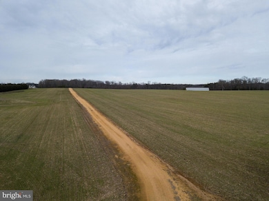 100 Gateway Dr, Fredericksburg, VA 22405 - photo 4