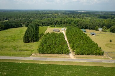 606 Greggs Rd, Adel, GA 31620 - photo 3