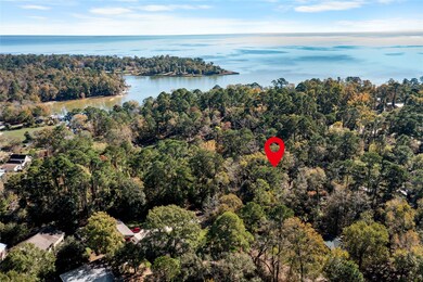 0 N Lakeview Dr unit 67956245, Point Blank, TX 77364 - photo 6