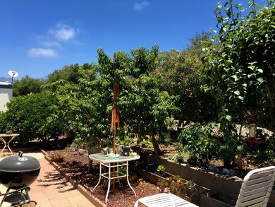 Fruit Trees