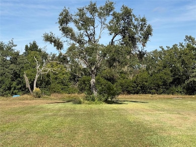 916 Piney Point Rd, Palmetto, FL 34221 - photo 5