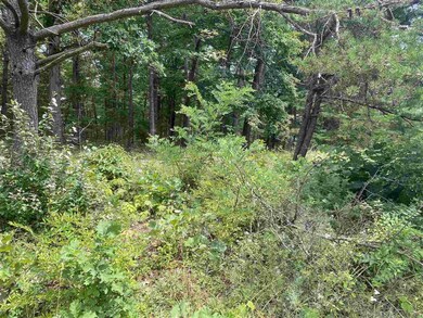 350 Forest Rd, Luray, VA 22835 - photo 4