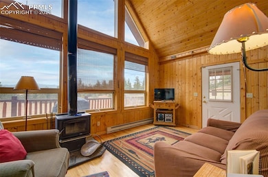 39858 Highway 24, Lake George, CO 80827 - photo 7