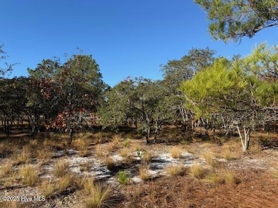 495 Antilla Dr SE, Bolivia, NC 28422 - photo 5