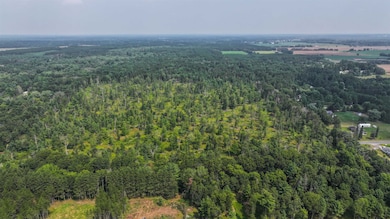 44.59 Acres Brilowski Rd, Stevens Point, WI 54482 - photo 7