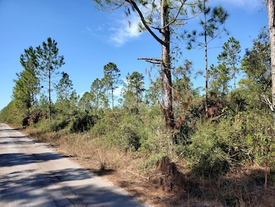 0 SW Prine Rd unit 19604535, Lee, FL 32059 - photo 3