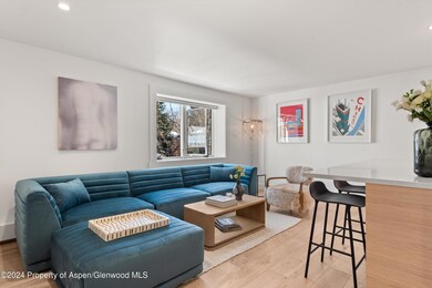 119 E Cooper Ave unit 26, Aspen, CO 81611 - photo 2