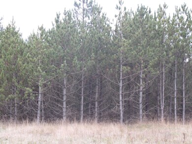 0 No 8 Rd, Hamilton, PA 15744 - photo 3