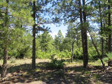 0 Gallinas Pkwy unit Parcel E5 18-1275, Trinidad, CO 81082 - photo 7