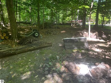 0 Horn Beam Ct, Cedar, MI 49621 - photo 6