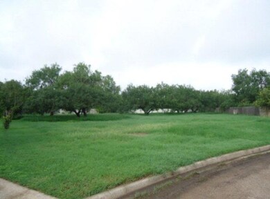 2702 Wildwood Dr, Weslaco, TX 78596 - photo 2