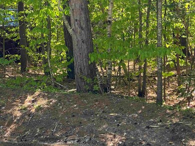 Lot 14 Chapel St, Conway, NH 03860 - photo 7