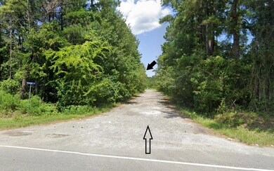 725 Roscoe Ct, Cross, SC 29436 - photo 6