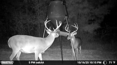 0 County Road 4210, Sallis, MS 39160 - photo 2